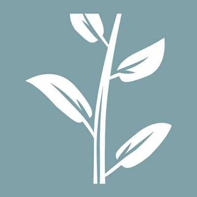 Farbfeld: Entwicklung & Wachstum